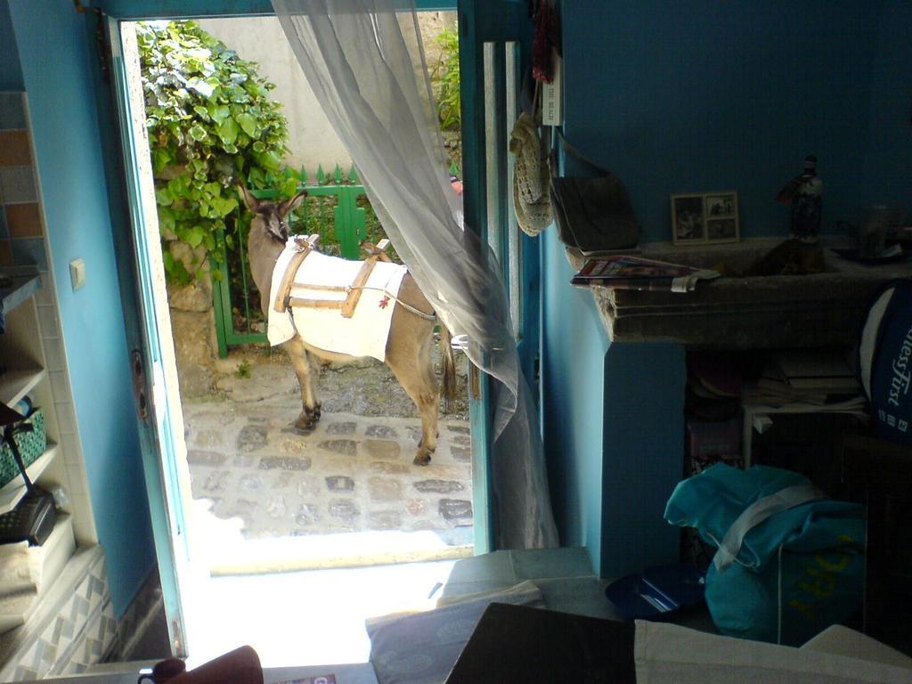 Blue Bench Krk Apartment Krk Town Room photo